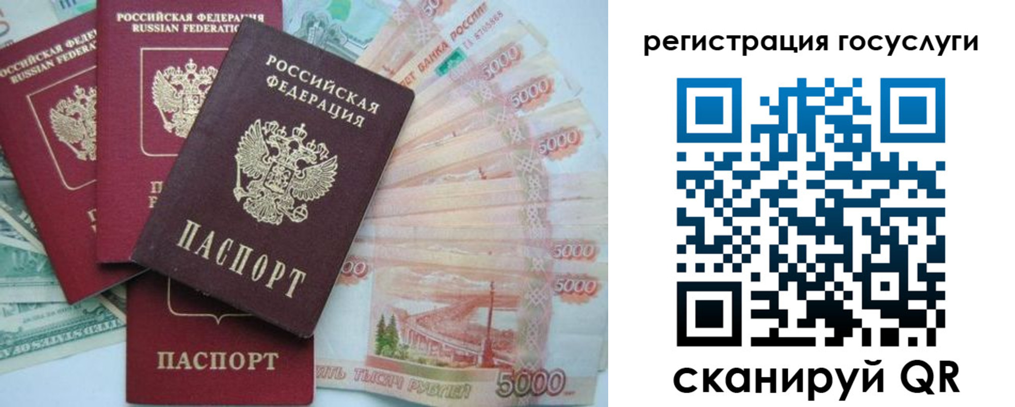 прописка иностранных граждан в Бородино